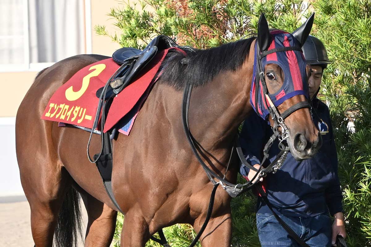新種牡馬ポエティックフレア産駒リアライズシリウスが7馬身差逃げ切り